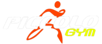 Piccolo Gym